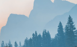 photo-1506744038136-46273834b3fb